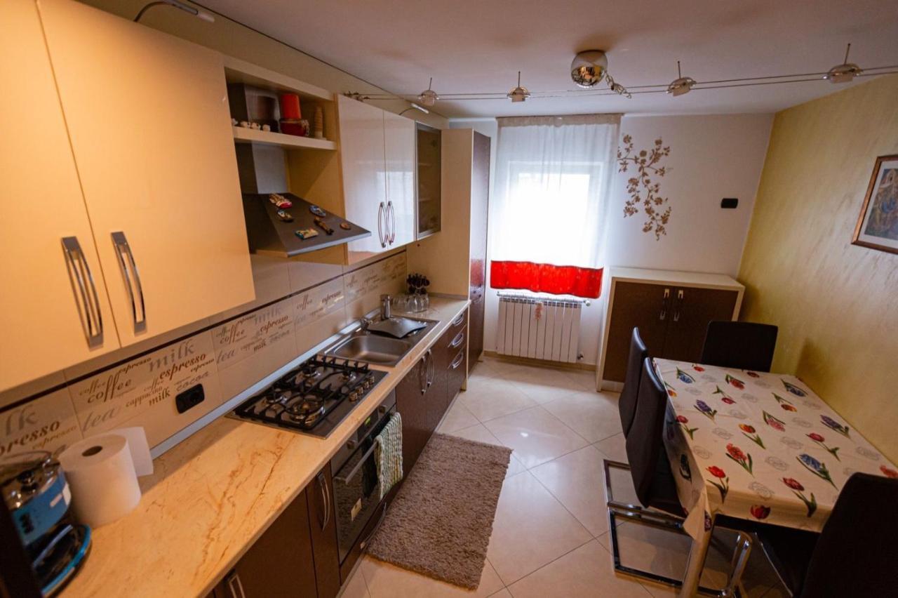 Apartament Danci. Borşa Εξωτερικό φωτογραφία